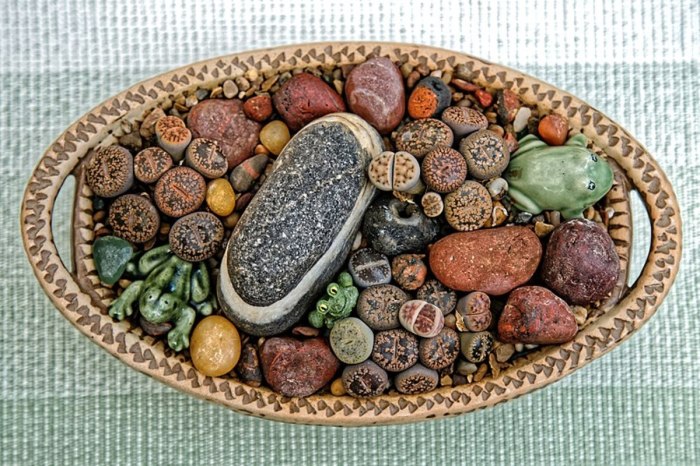 Grow Lithops: A Comprehensive Guide to Caring for Living Stones