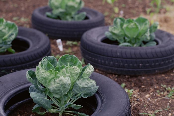 Tire gardening ideas