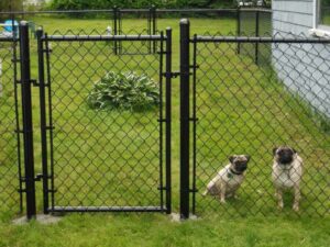 Temporary Fencing Ideas: Explore Versatile Solutions for Diverse Needs