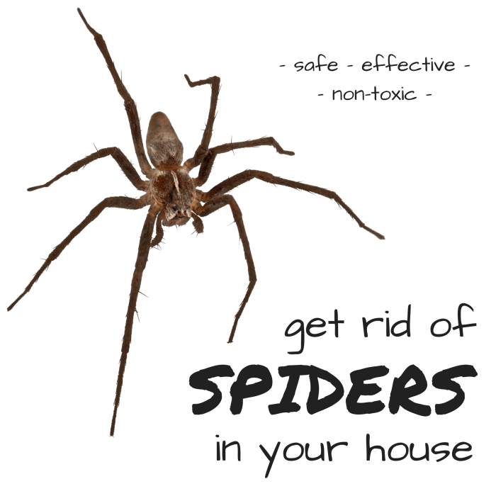 Spiders tipsbulletin 123rf