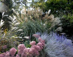 Ornamental Grasses: A Symphony of Texture, Movement, and Color