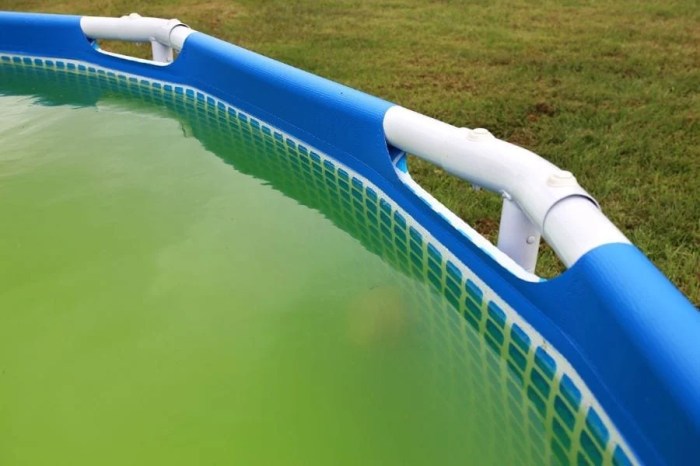 Pool shock green water clear clean