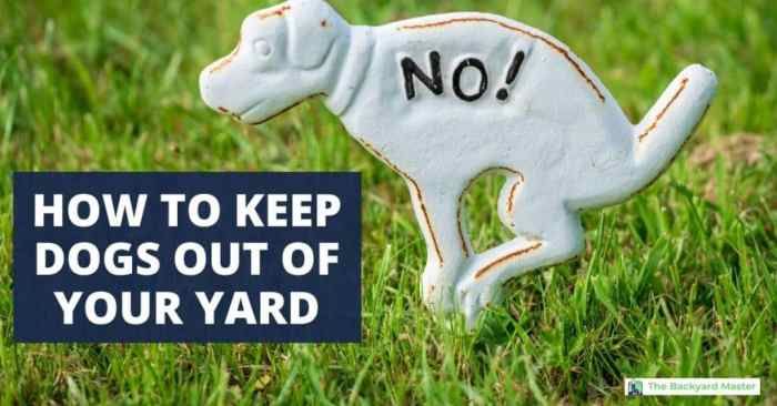 How to keep dogs out of yard