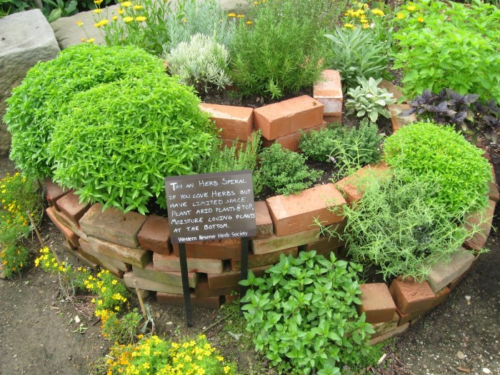 Fence herbs planter herb