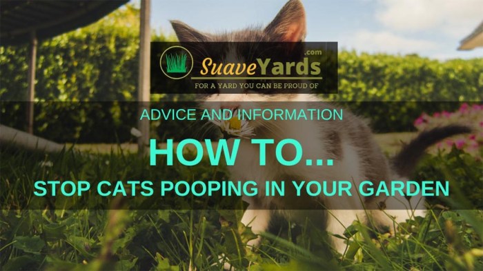 How to stop cats from pooping in my yard