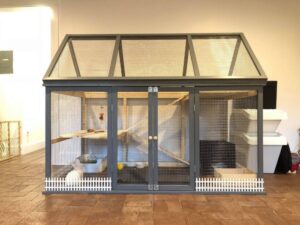 Creative Rabbit Hutch Ideas: A Guide to Designing Your Bunnys Dream Home