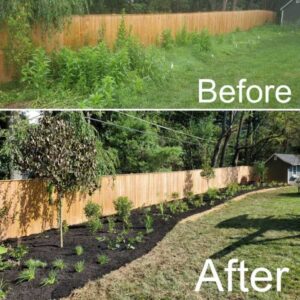 Landscaping Along a Fence: Transform Your Yard with Creative Ideas