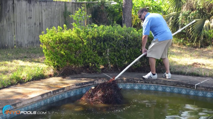 How to clean a green pool