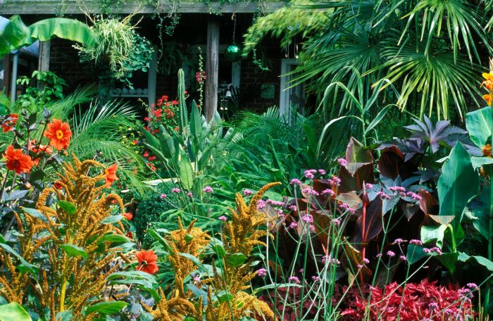 Tropical garden ideas