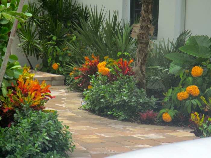 Gorgeous tropical landscaping ideas