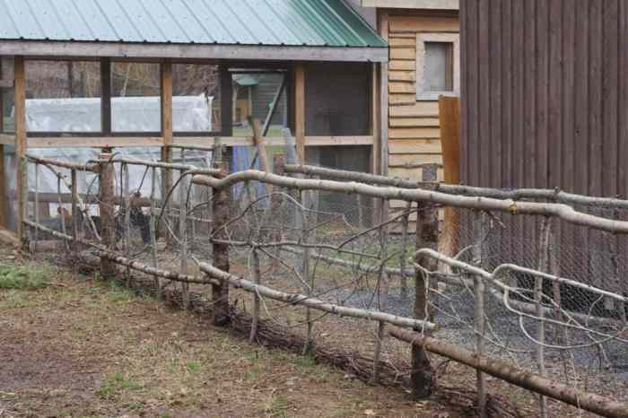 Chicken Fence Ideas: A Comprehensive Guide to Keeping Your Flock Safe and Secure