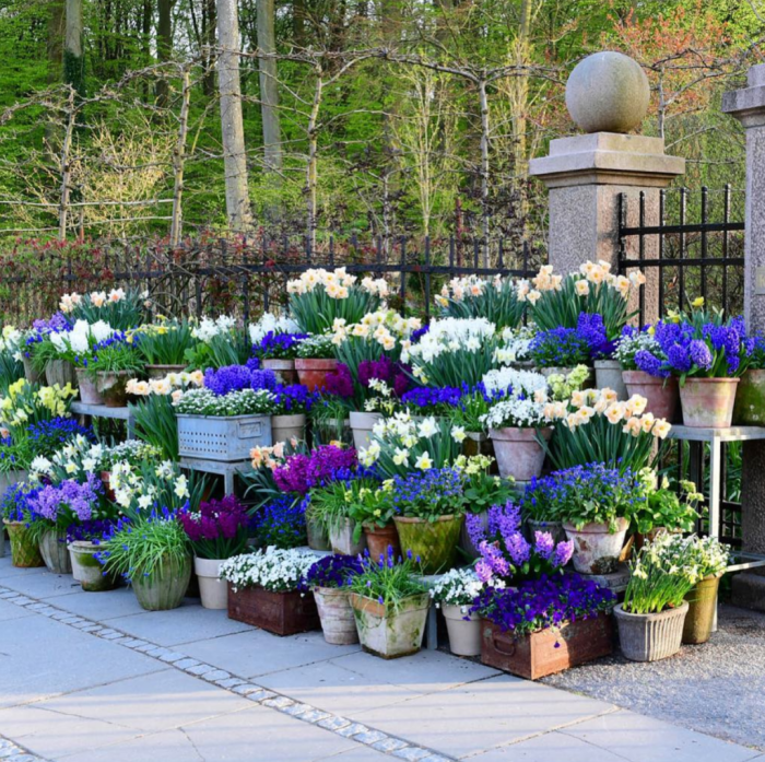 Container garden creative idea designs fountain repurposed homebnc