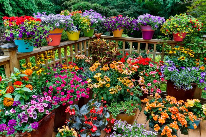 Container garden design