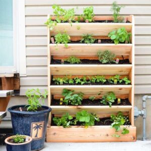 Vertical Herb Gardens: Cultivating Fresh Herbs in a Space-Saving Way