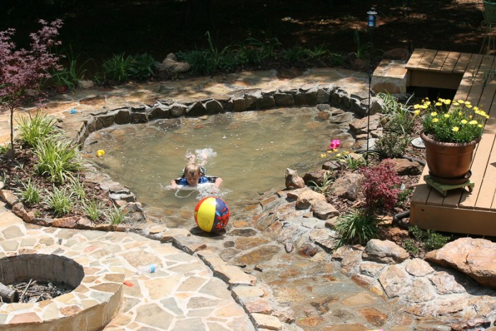 Backyard duck pond