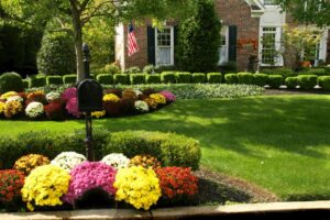 Fall Landscape Ideas: Transform Your Yard into a Vibrant Masterpiece