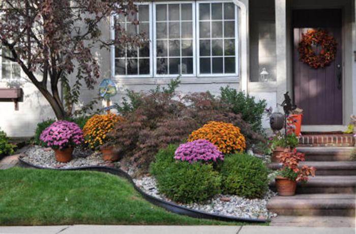 Mums pumpkins landscaping lawrence ks surrounding