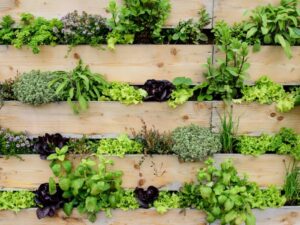 Vertical Pallet Gardens: A Lush Tapestry of Space-Saving Beauty