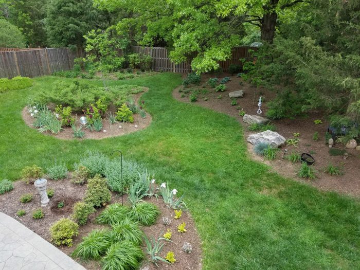 Hot wooded backyard ideas