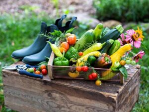 Summertime Bounty: Vegetables to Grow for a Thrilling Harvest