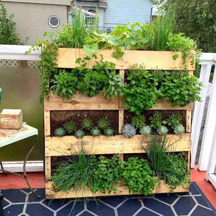 Vertical pallet gardens