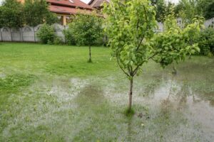 How to Dry Up a Wet Yard: A Comprehensive Guide to Reclaim Your Outdoor Oasis