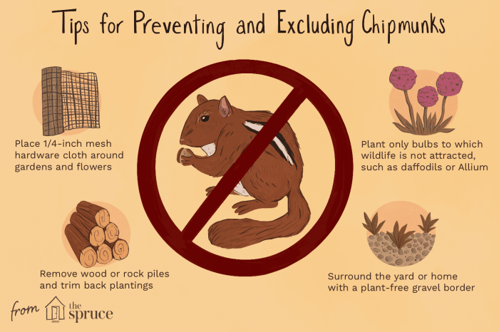 How to Get Rid of Chipmunks: A Comprehensive Guide to Humane and Effective Methods