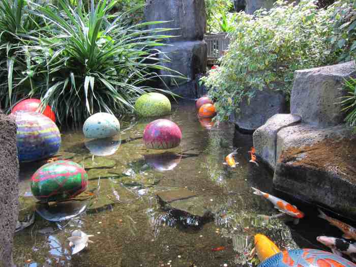 Koi pond