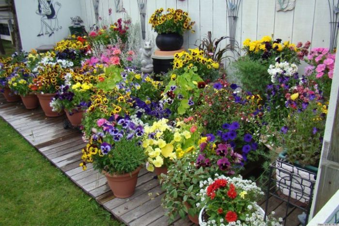 Container garden design