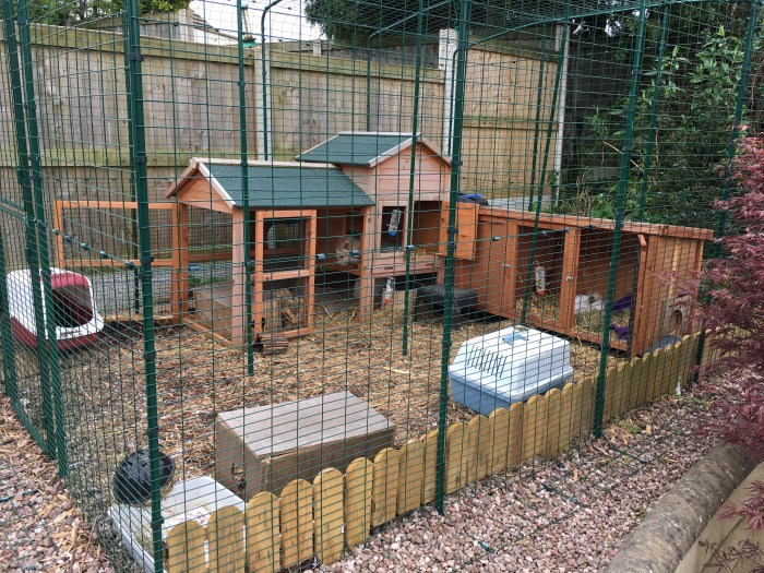 Hutches hutch rabbits insulated simplyrabbits