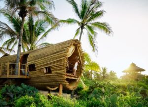 Enchanting Treehouse Ideas: A Journey into Architectural Whimsy