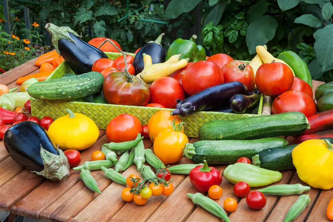 Vegetables to grow in summer