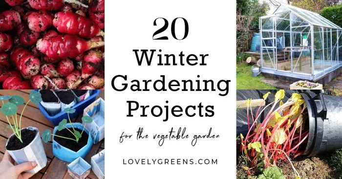 Winter gardening should tips know garden