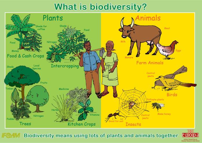 How biodiversity can repel and combat ticks