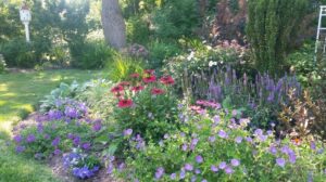 How to Light a Garden for Wildlife