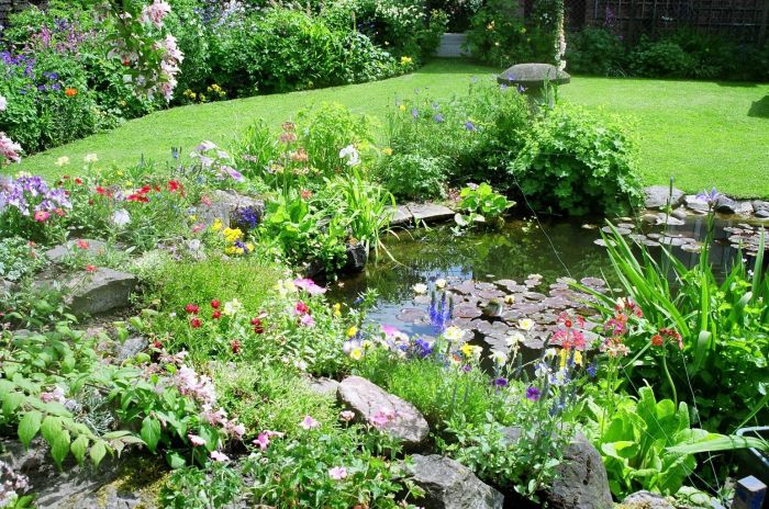 Wildlife garden nature creating own gardening safe credit tips