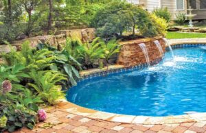 Plants to Avoid Around a Pool: Safety and Maintenance Tips