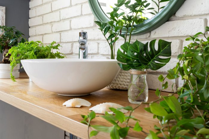 Plants to make a bathroom smell nice