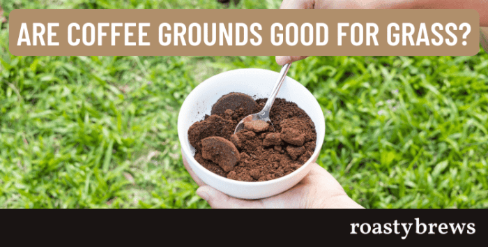 Are coffee grounds good for grass