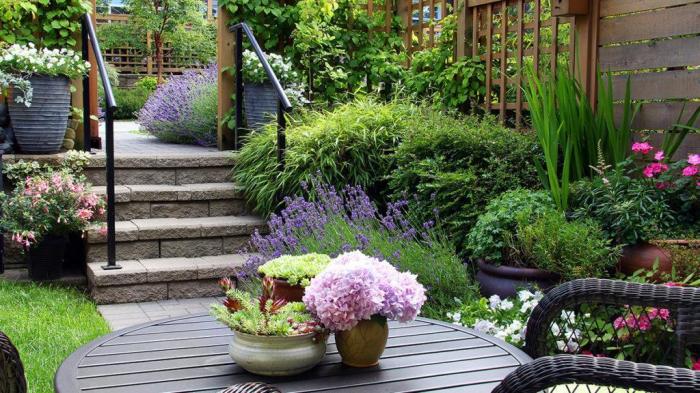 Plants to make a porch smell nice