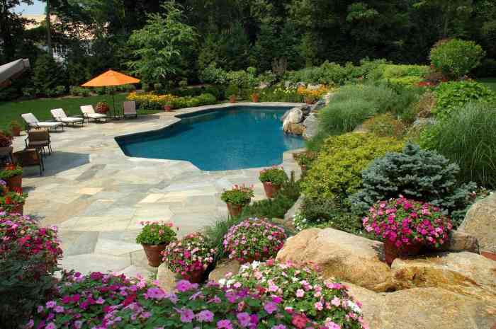 Pool around tropical landscaping pools palm houston flowers ideas trees texas flower garden beds backyard plants landscape swimming poolside outdoor