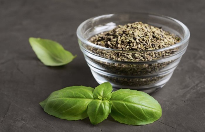 How to dry basil