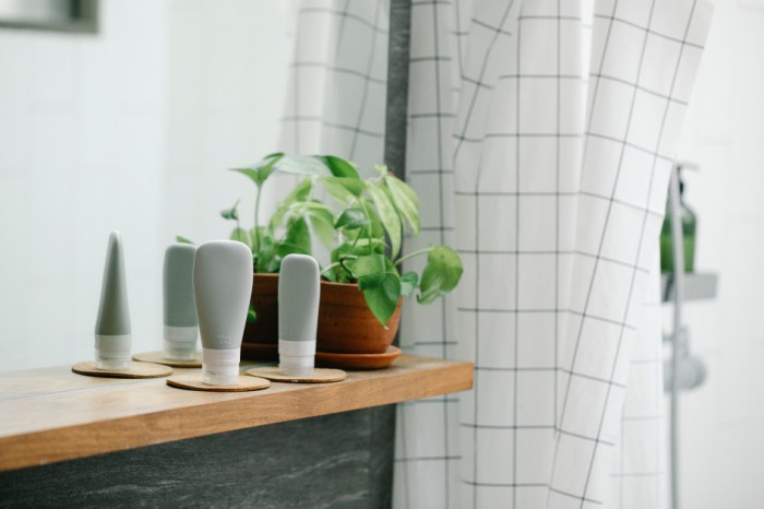 Plants to make a bathroom smell nice