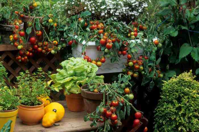 Balcony garden landera creating if wind au