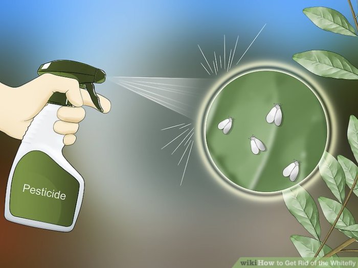 How to Get Rid of Whiteflies: A Guide to Protecting Your Plants