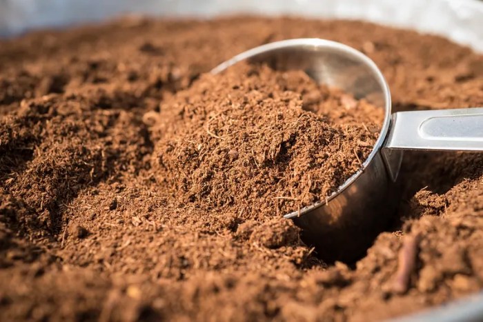 Are coffee grounds good for grass