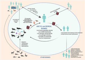 How Biodiversity Can Repel and Combat Ticks