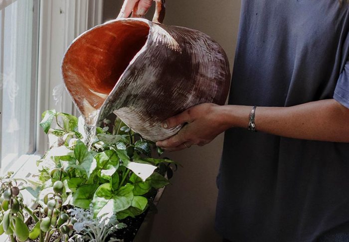 Bottles watering pots upcycling knocking