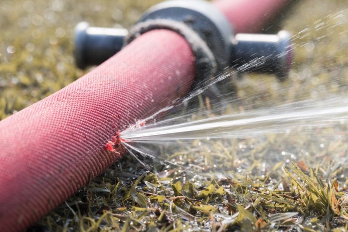 How to Maintain a Garden Hose for a Long Life