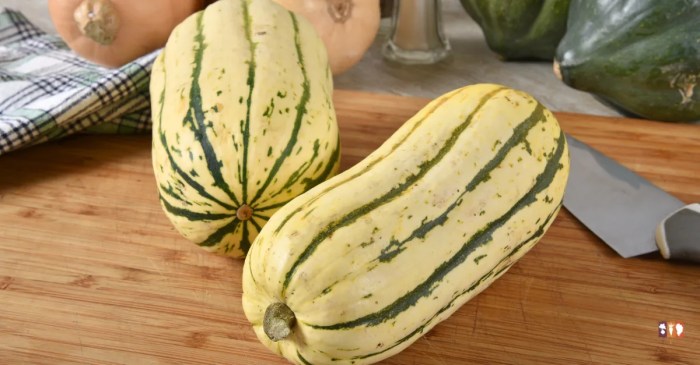 Squash delicata winter growing squashes plant visit fruits melons tropical male